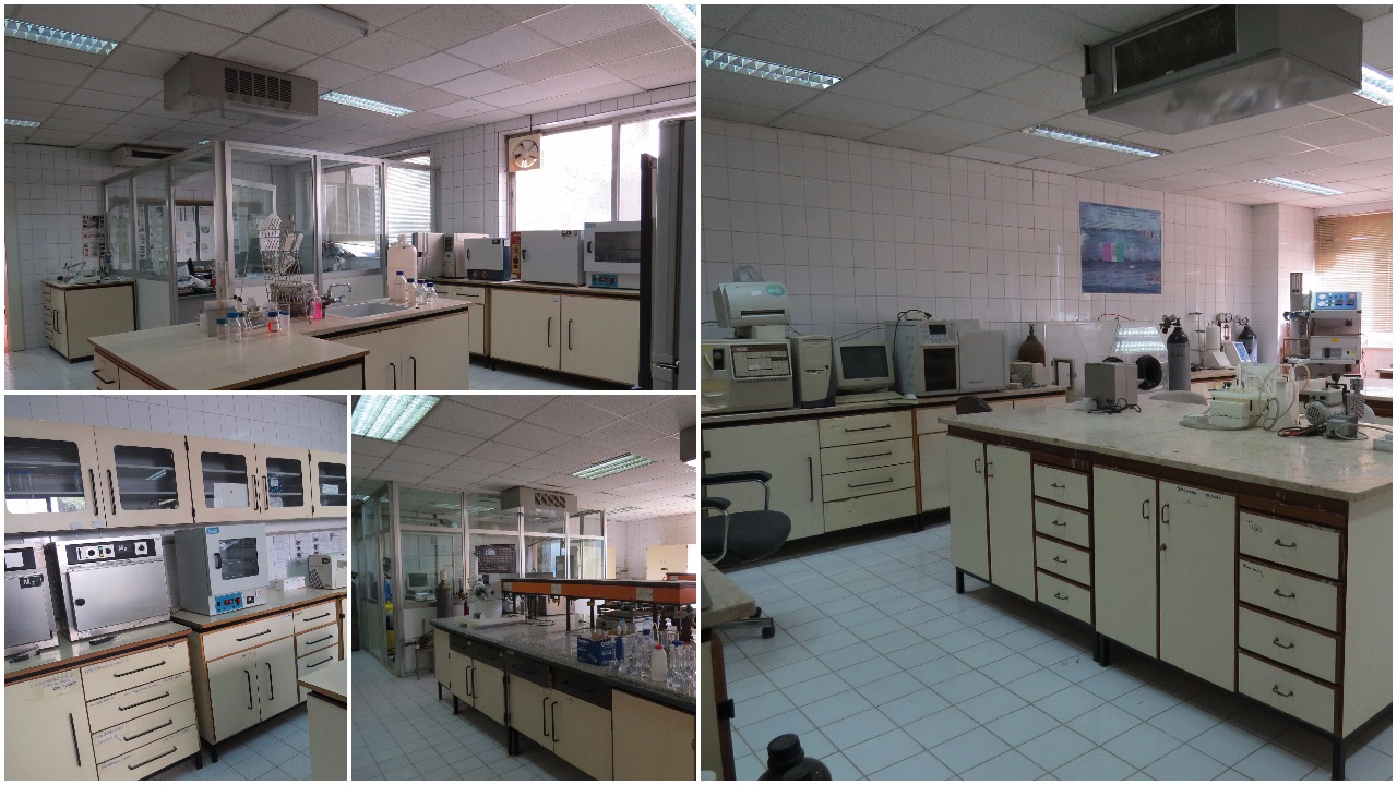 Jordan Valley fields