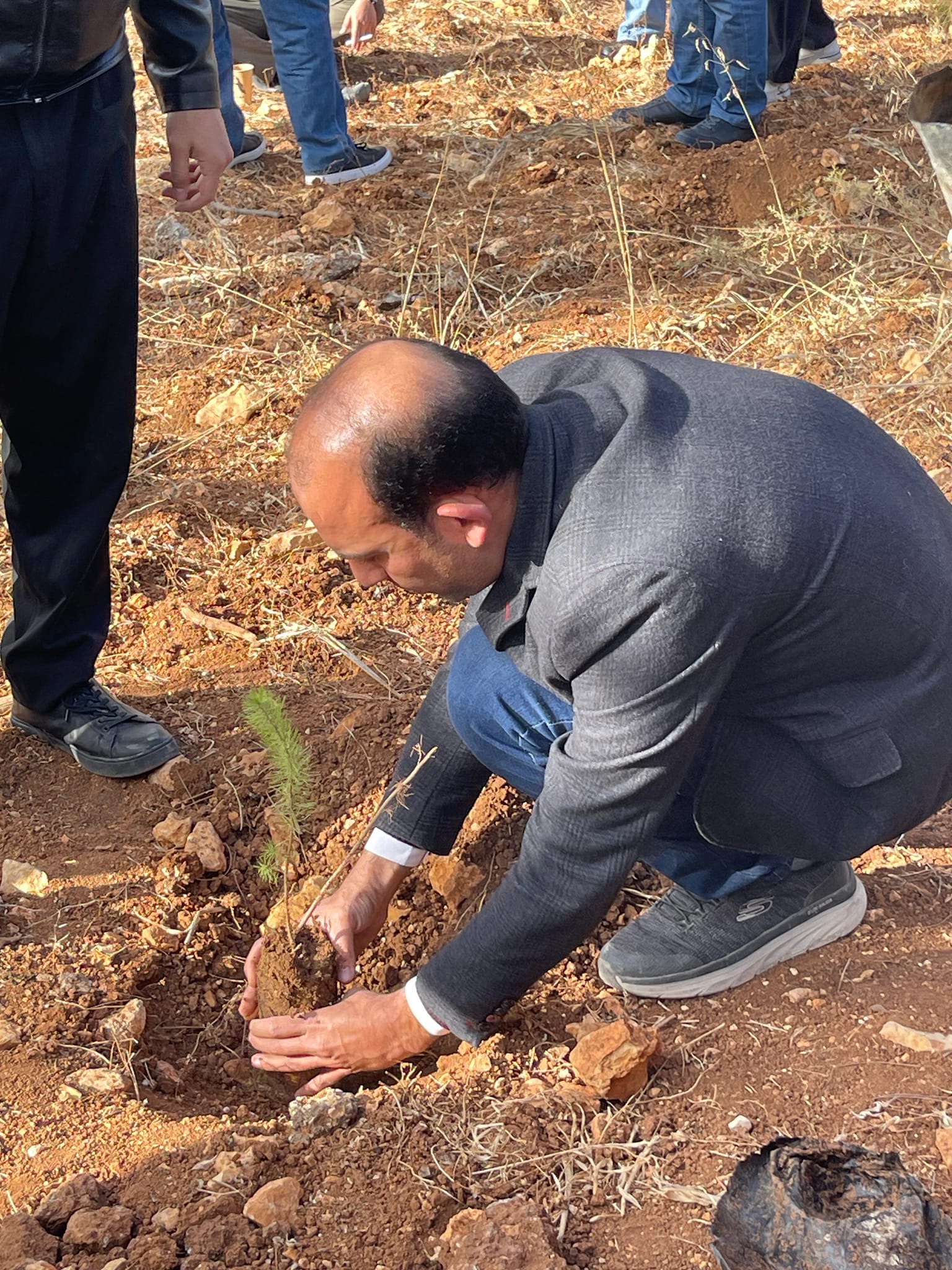Plant a Tree Arbor Day